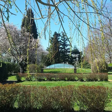 Le Petit Cap Vert *